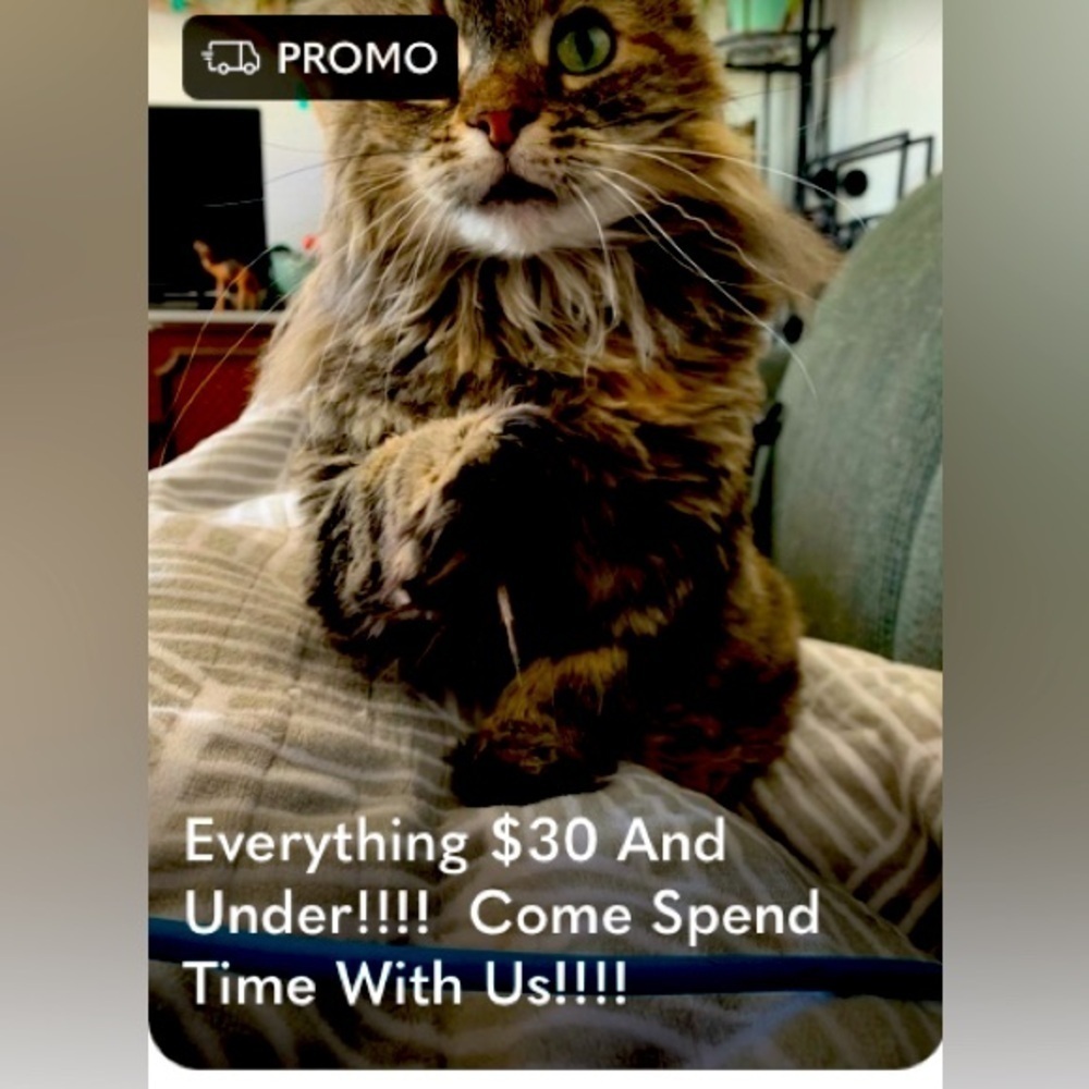 LIVE SHOW PROMO and NOTIFICATION